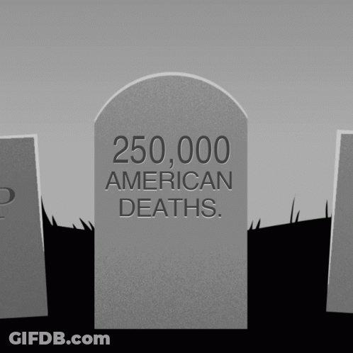 A Gravestone With The Words 250,000 American Deaths Written On It GIF