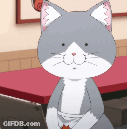 A Gray And White Cat Is Sitting In Front Of A Table GIF