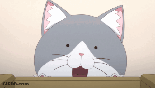 A Gray And White Cat With A Pink Ear Is Peeking Over A Box GIF