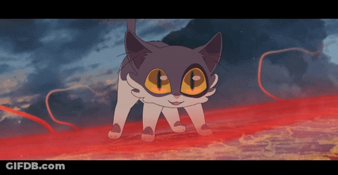 A Gray And White Cat With Big Yellow Eyes Is Standing In A Red Area GIF