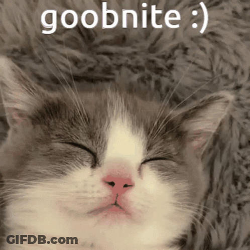 A Gray And White Cat With Its Eyes Closed And The Words Goobnite Above It GIF