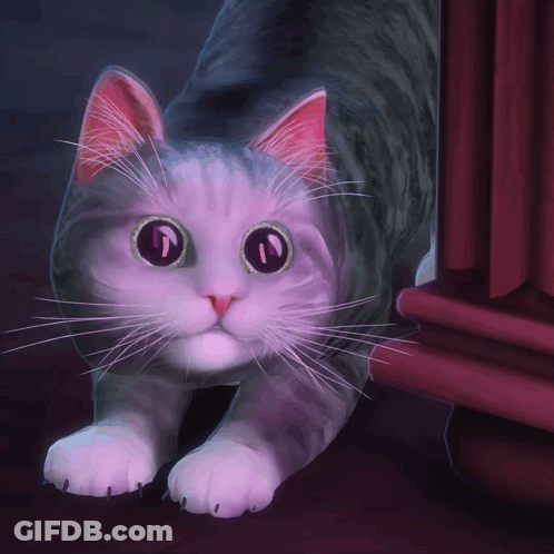 A Gray And White Cat With Purple Eyes And A Pink Nose GIF