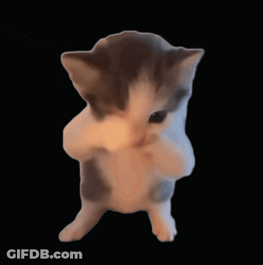 A Gray And White Kitten Is Standing On Its Hind Legs On A Black Background GIF