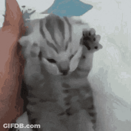A Gray Cat Is Laying On A White Blanket GIF