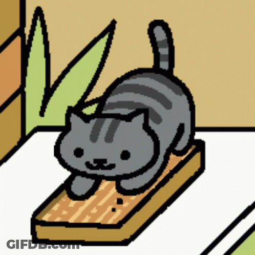 A Gray Cat Is Standing On A Wooden Plank GIF