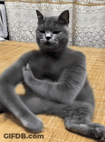 A Gray Cat With Its Arms Crossed Is Sitting On A Bamboo Mat GIF