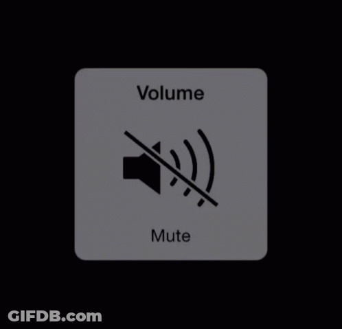 A Gray Volume Button With A Black Speaker On It GIF