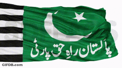 A Green And Black Flag With Arabic Writing GIF