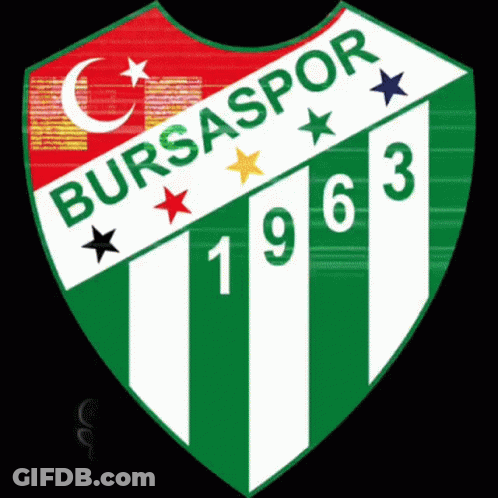 A Green And White Badge With The Year 1963 On It GIF