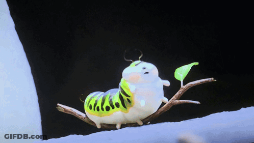 A Green And White Caterpillar Is Sitting On A Branch With A Green Leaf GIF