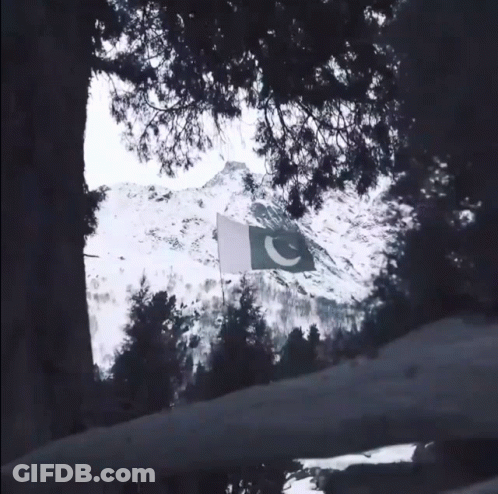 A Green And White Flag Is Flying In Front Of A Snow Covered Mountain GIF