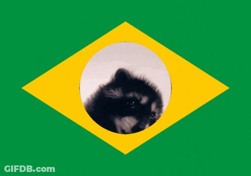 A Green And Yellow Flag With A Raccoon In The Center GIF