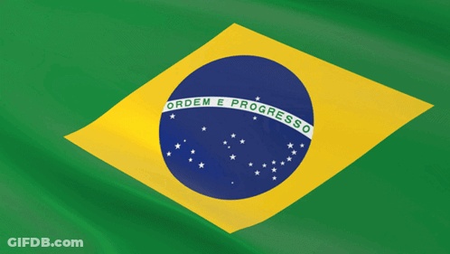 A Green And Yellow Flag With Ordem E Progresso Written On It GIF