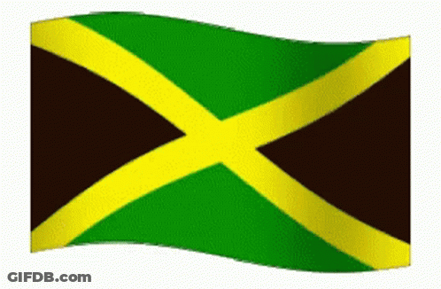 A Green And Yellow Jamaican Flag Is Waving In The Wind On A White Background GIF