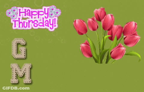 A Green Background With A Bunch Of Pink Flowers And The Words Happy Thursday Good Morning GIF