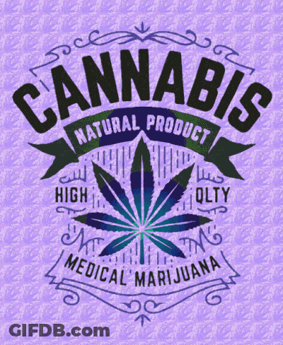 A Green Background With A Purple Leaf And The Words Cannabis Natural Product GIF