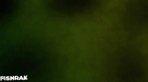 A Green Background With The Letters Br Kr And Xe GIF
