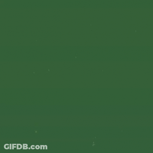 A Green Background With The Words Okay What Now Written In Pink GIF