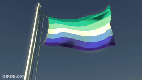 A Green Blue And Purple Flag Is Flying In The Wind GIF