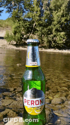 A Green Bottle Of Peroni Sits On A Rock Near A River GIF