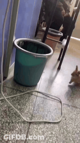 A Green Bucket Is Sitting On The Floor Next To A White Cord GIF