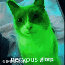 A Green Cat Is Sitting On A Bed With The Words `` Nervous Glorp '' Written On It . GIF