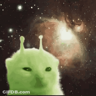 A Green Cat With Alien Ears Looks At The Camera In Front Of A Galaxy GIF