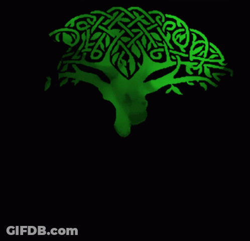 A Green Celtic Tree With Leaves And Branches On A Black Background GIF