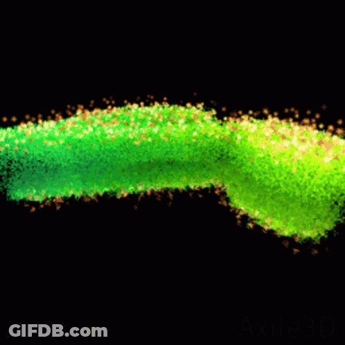 A Green Christmas Tree Is Surrounded By Yellow And Orange Stars GIF