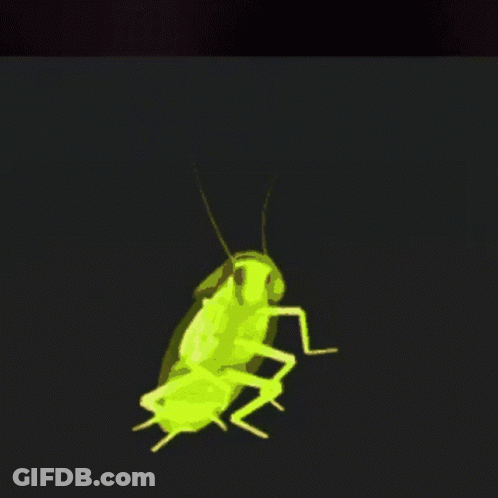 A Green Cockroach Is Glowing In The Dark GIF