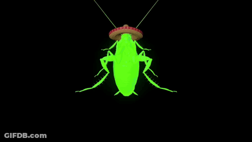 A Green Cockroach Is Wearing A Sombrero On Its Head GIF