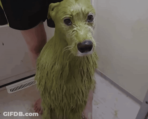 A Green Dog Is Being Bathed By A Person In A Bathtub GIF