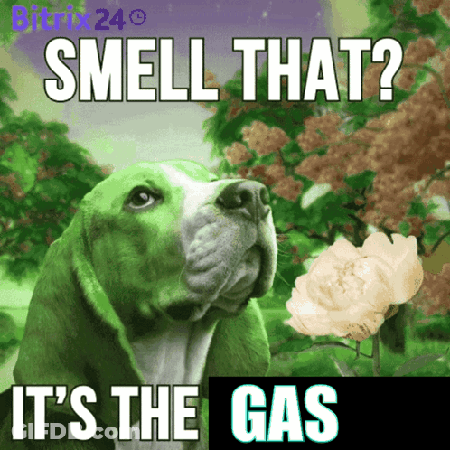 A Green Dog Smelling A Flower With The Words Smell That It 'S The Gas Below It GIF