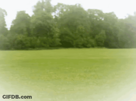 A Green Field With Trees In The Background And A White Border GIF