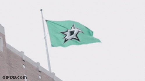 A Green Flag With A Seagull On It Is Waving In The Wind GIF