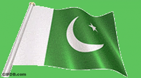 A Green Flag With A White Crescent Moon And Star GIF