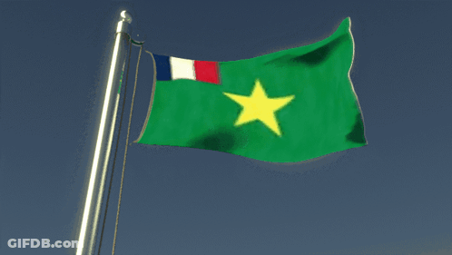 A Green Flag With A Yellow Star In The Middle GIF
