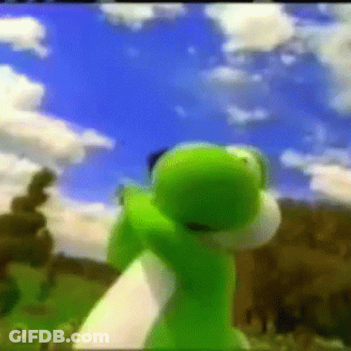 A Green Frog With A Blue Sky Behind It GIF