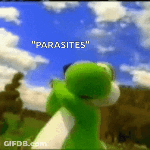 A Green Frog With The Words " Parasites " On It GIF