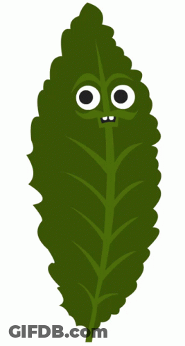 A Green Leaf With Eyes And Teeth On It GIF