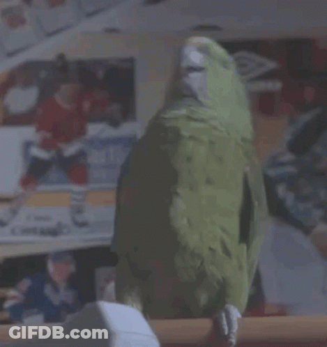 A Green Parrot Is Perched On A Wooden Railing In Front Of A Hockey Poster GIF
