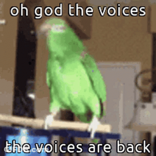 A Green Parrot Is Sitting On A Perch With The Words Oh God The Voices The Voices Are Back GIF