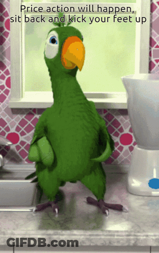 A Green Parrot Is Standing On A Counter With The Words Price Action Will Happen Sit Back And Kick Your Feet Up Above It GIF