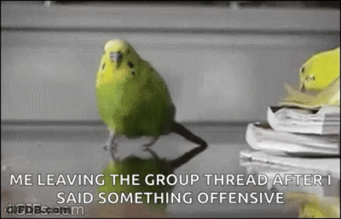 A Green Parrot Is Standing On A Table Next To A Pile Of Books . GIF