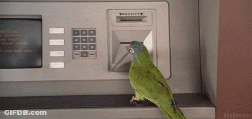 A Green Parrot Is Using An Atm Machine That Says Receipt On It GIF