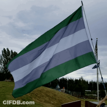 A Green Purple And White Flag Flies In The Wind GIF