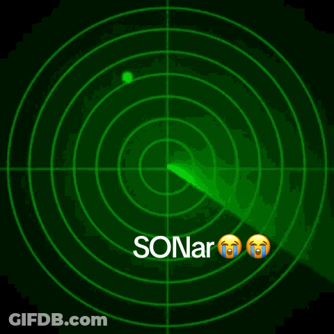 A Green Radar Screen Shows A Man 'S Face And The Word Sonar GIF