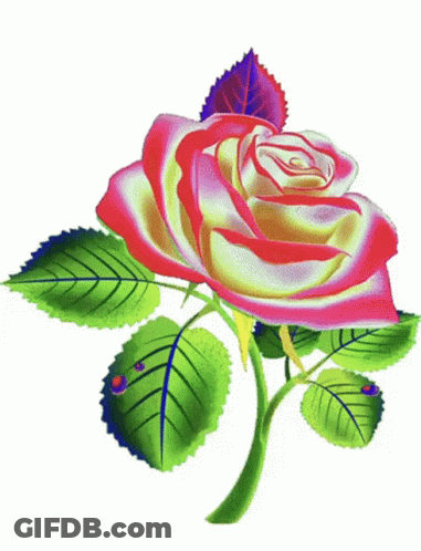 A Green Rose With Yellow Leaves On A Stem GIF