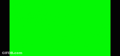 A Green Screen With The Word What On It GIF