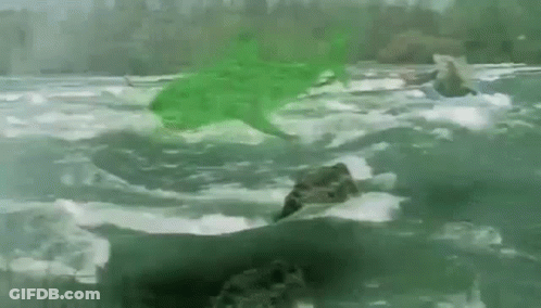 A Green Shark Is Swimming In A Body Of Water Next To A Rock . GIF